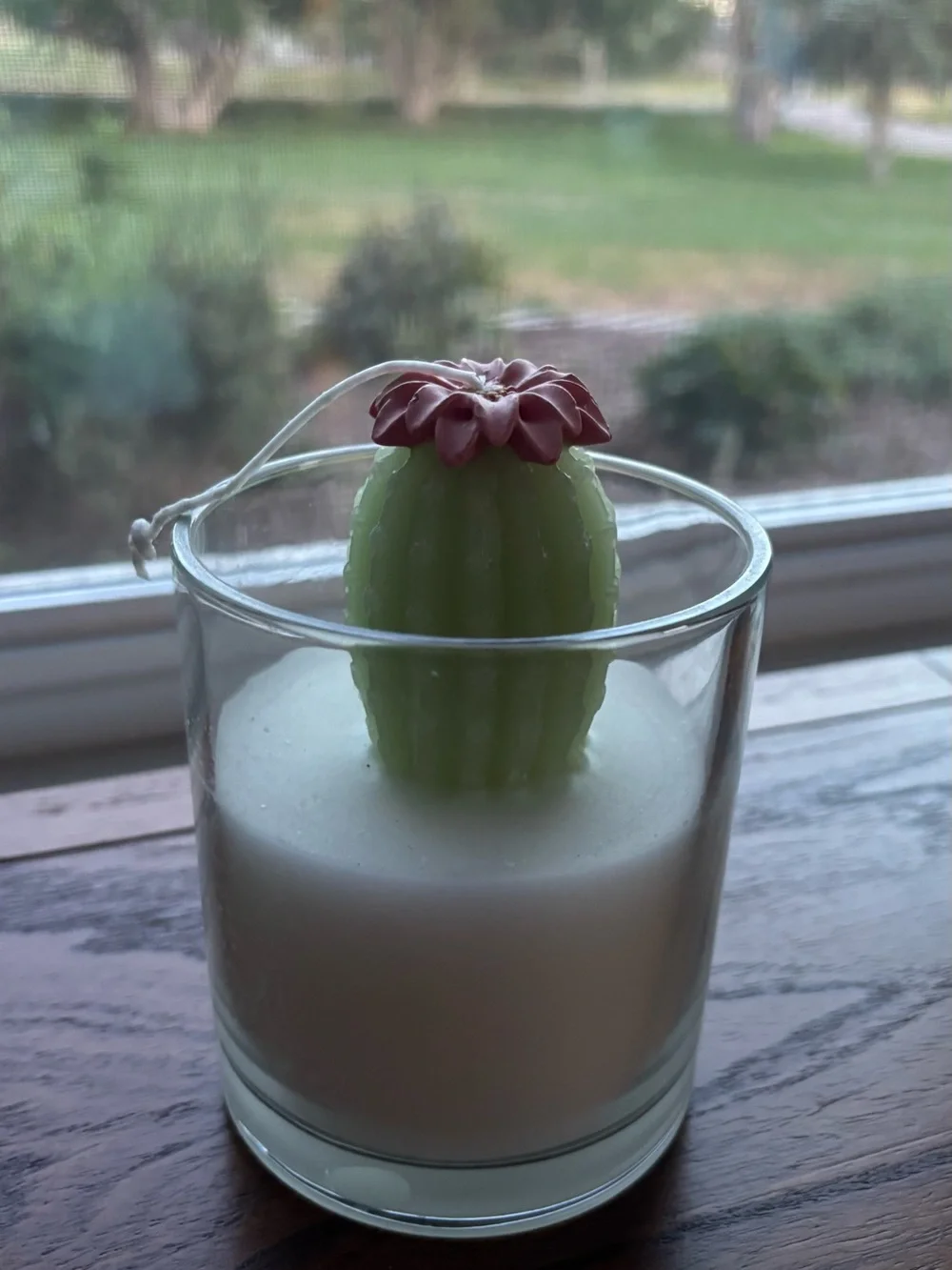Wild Prickly Pear Jar Candle - White Wax with Pale Green Cactus
